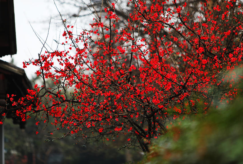 ĺ@ľ`źĻոýD