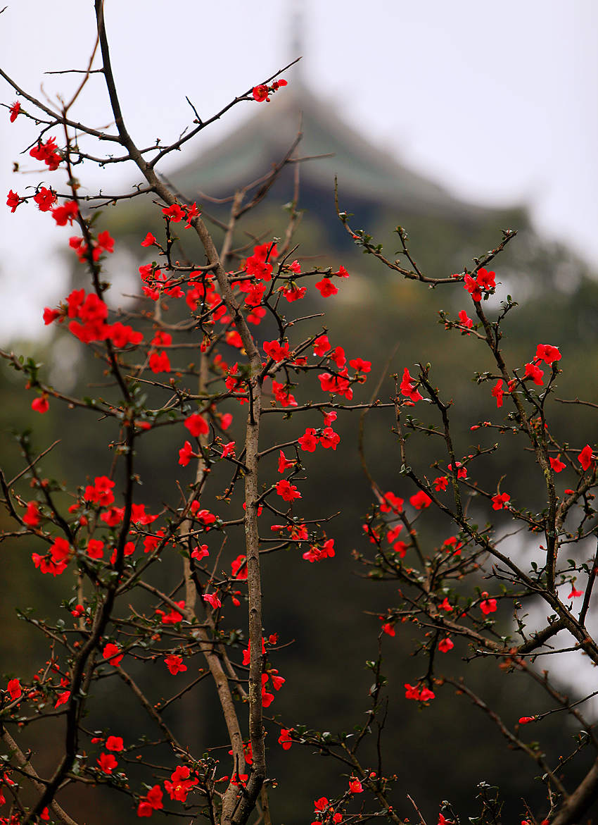 ĺ@ľ`źĻոýD