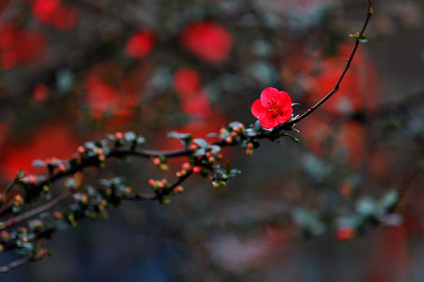 ĺ@ľ`źĻոýD