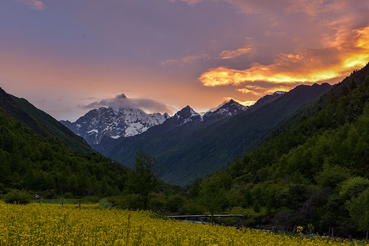 c(din)Ĺɽеġ÷塱Ĺɽ^(q)ֹD