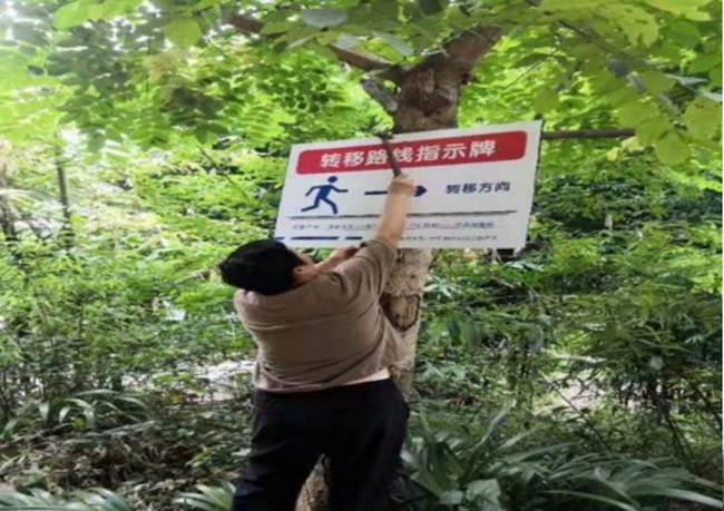 張貼宣傳明白卡。井研縣委組織部供圖