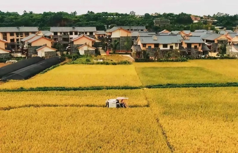 迎豐收盛會，賞醉美雙流。雙流區(qū)農(nóng)業(yè)農(nóng)村局供圖
