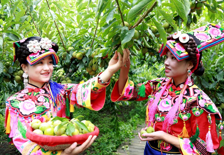 正在勞動的少數(shù)民族女同胞。阿壩州委宣傳部供圖