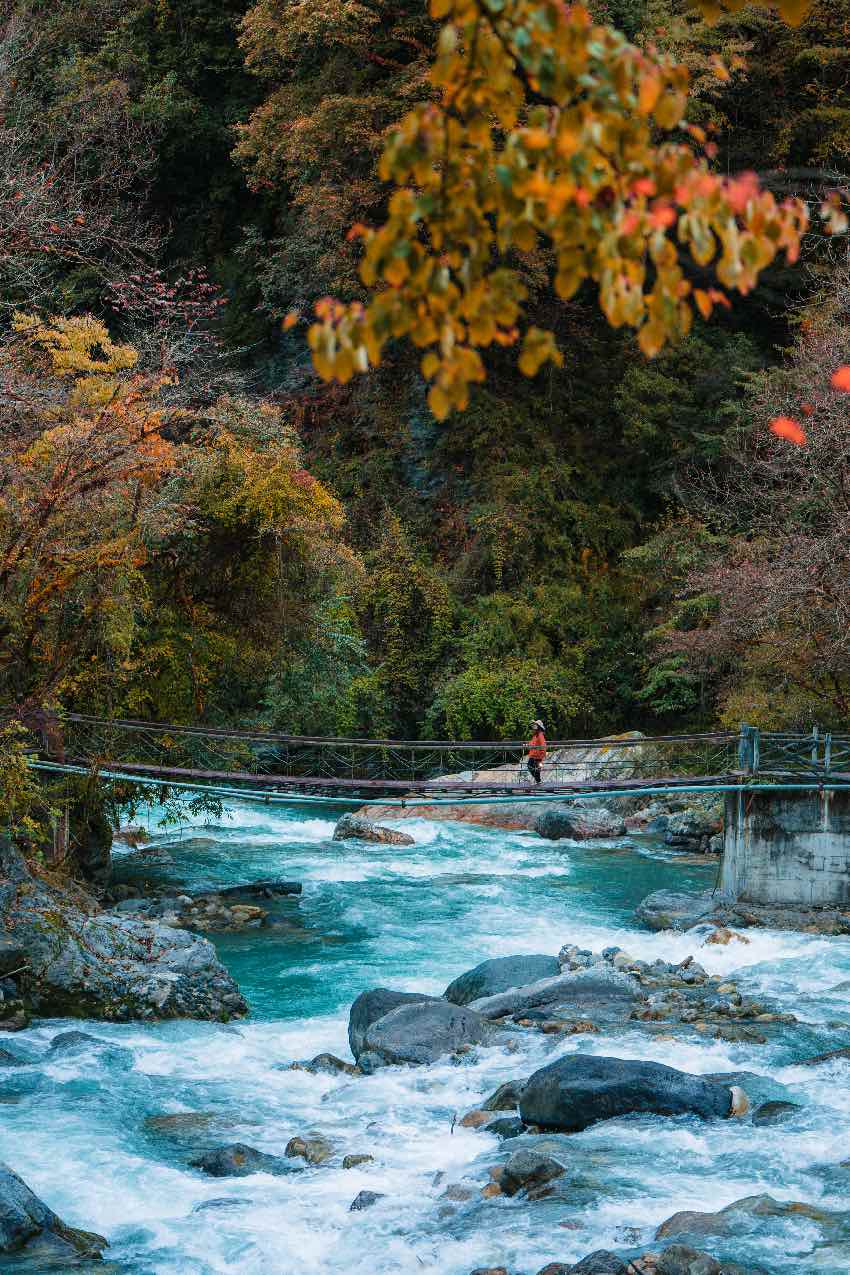 珙桐山居。二郎山喇叭河景區(qū)供圖