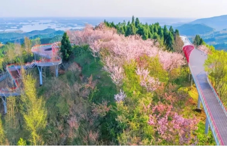 東部新區(qū)山地公園。成都市文廣旅局供圖