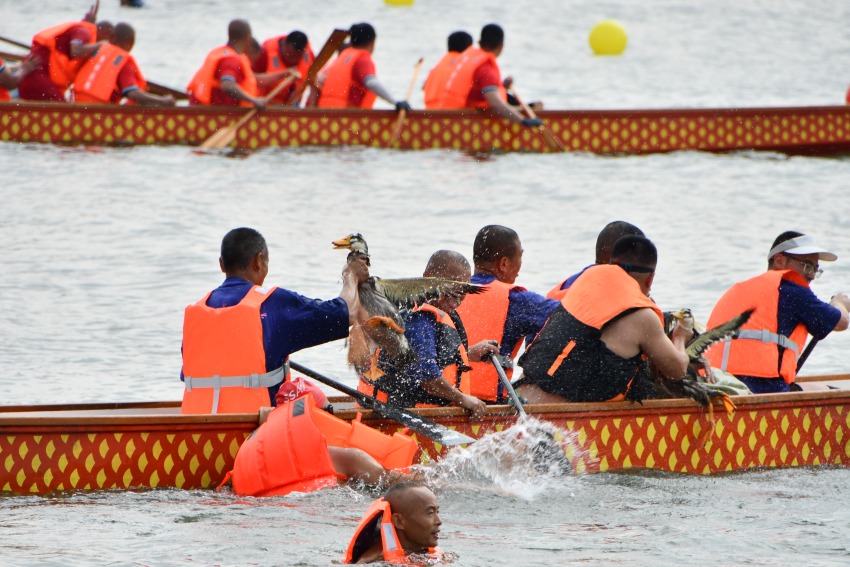 龍舟隊(duì)搶到鴨子。人民網(wǎng) 趙祖樂攝