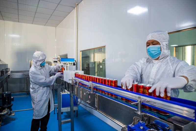 根雀飲品包裝檢驗(yàn)。何曉紅攝