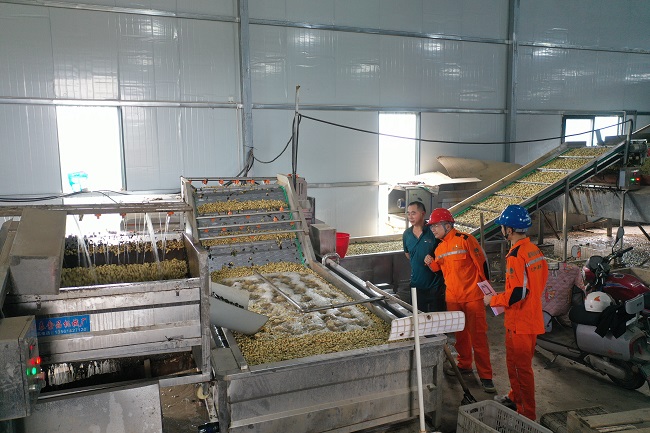 用電指導(dǎo)。榮縣融媒供圖